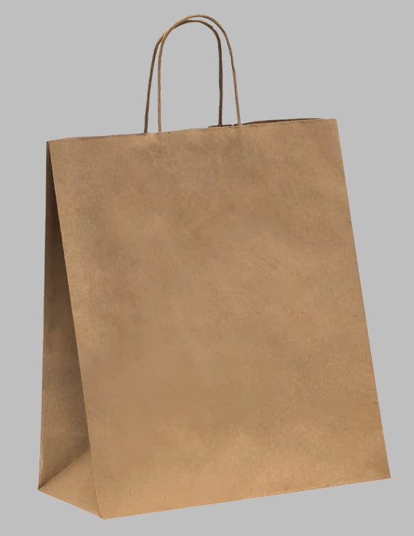 Kraft Paper Bags - Twisted Handle - 13"x8.5"x13"