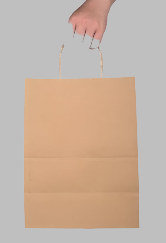 Kraft Paper Bags-Twisted Handle-10"x6.5"x13"