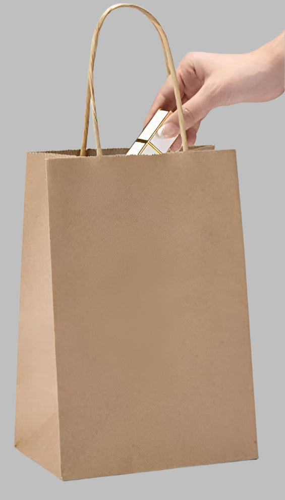 Kraft Paper Bags-Twisted Handle-10"x6.5"x13"