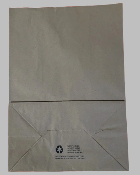 Kraft Paper Bags-DD50-9.75"x6"x16"