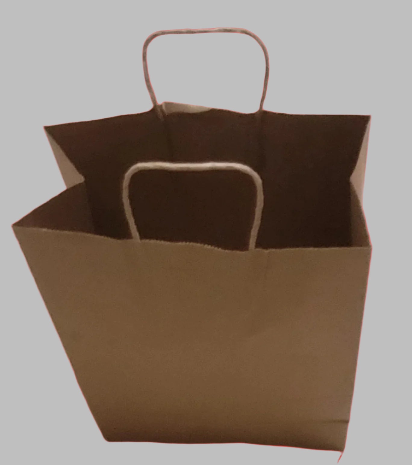 Kraft Paper Bags-Twisted Handle-10"x5"x13